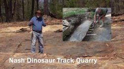 dinosaur tracks